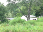 IMG 4429